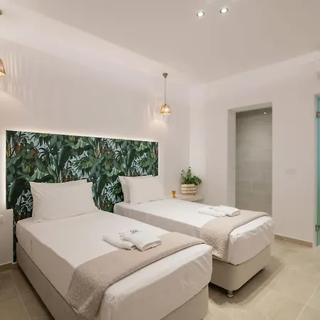Suncourt Lux Λαγανάς