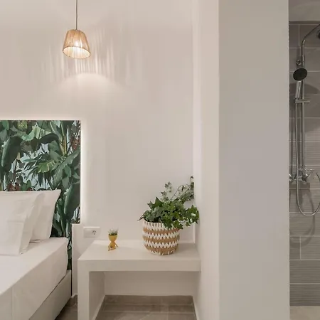 Suncourt Lux * Λαγανάς
